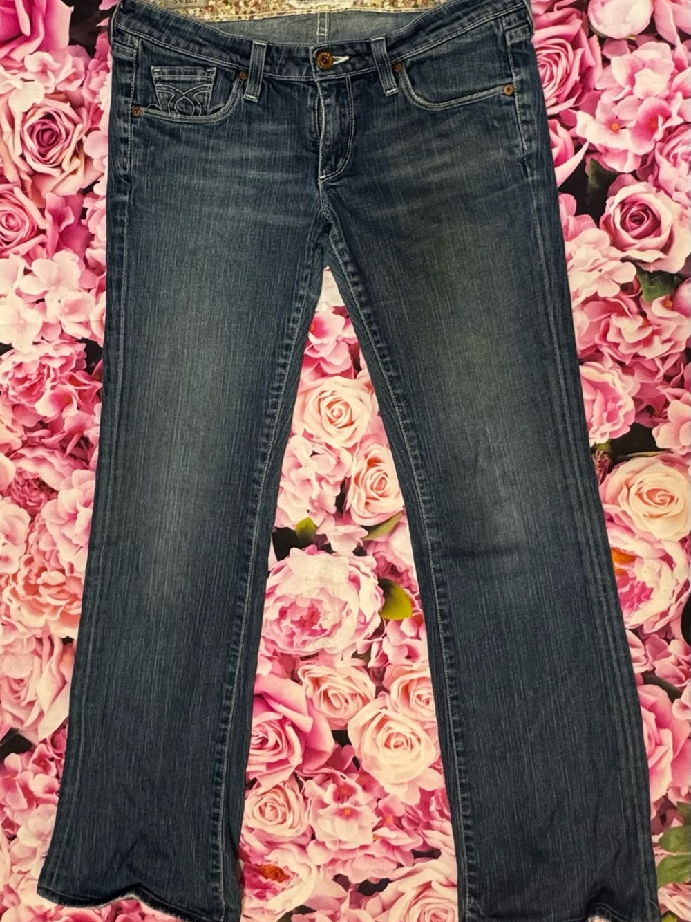 Big Star Women's Flared Jeans in Denim Blue